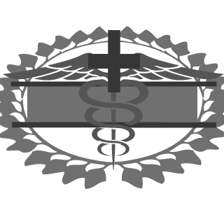5eleven's emblem