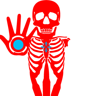 SchwarzerVogel80's emblem