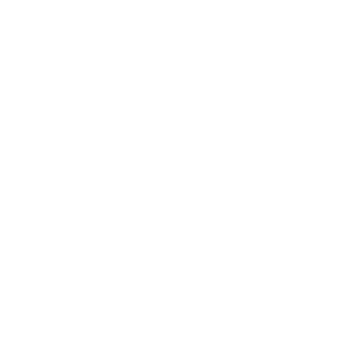 1990_leao's emblem