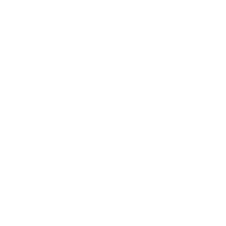 el6601han's emblem
