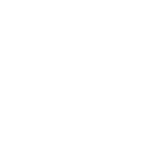 FLAIYING GORILA's emblem