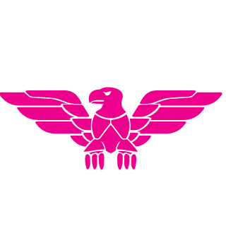 peto20's emblem
