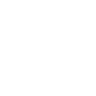 Veers88's emblem