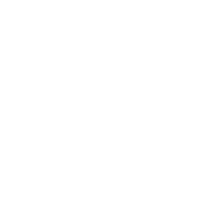 SPATIALVISIONARY's emblem