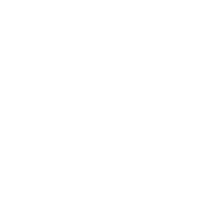 BrAI067's emblem