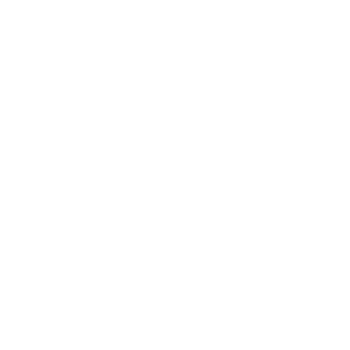 vivivi22z's emblem