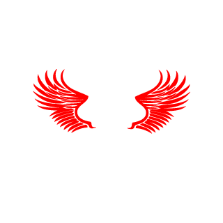 Eyemaster70's emblem