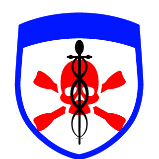 vjecitistudent's emblem