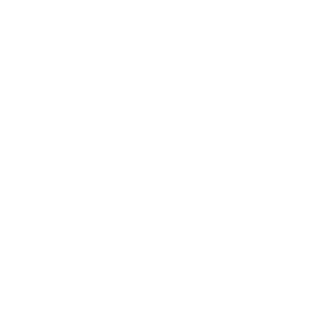 nsh11's emblem