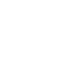 FLYTECC1's emblem