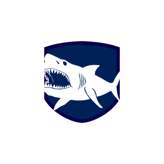 cloudcontrol19's emblem