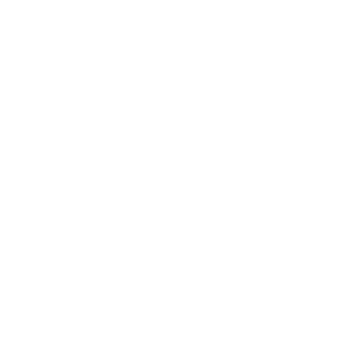 Replava's emblem
