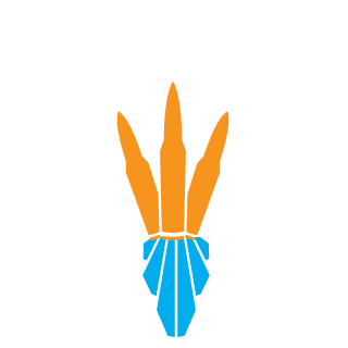 DFModMaster's emblem