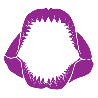Starsky238's emblem