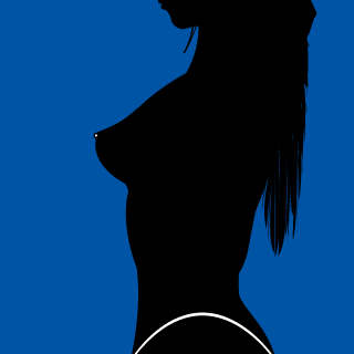 VulgarButFluent's emblem