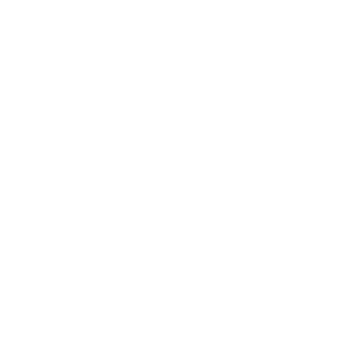 Plasmon633's emblem