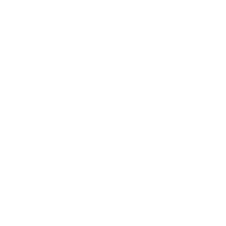 AntolinN's emblem