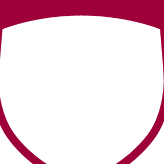 China_madiao's emblem