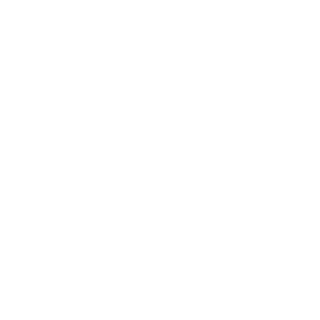 lcarlos355's emblem