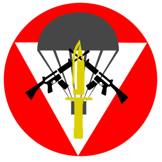 C14_2stormY's emblem