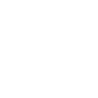 APOLLO-GER's emblem