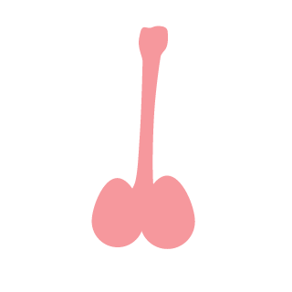 MauieWauwie's emblem