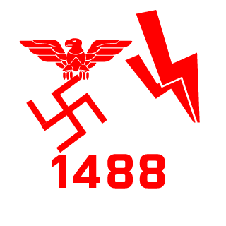 FourSkinPirateSS's emblem