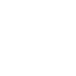 30_CHN's emblem