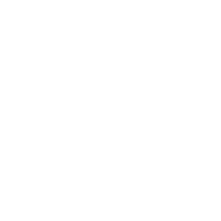 El-Toro_ZALim's emblem