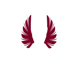 moreCriticalsSK's emblem