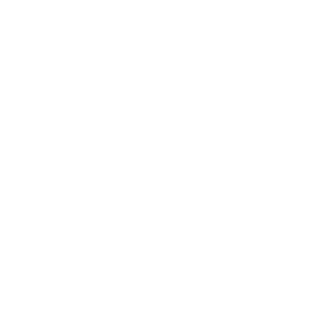 BonX's emblem