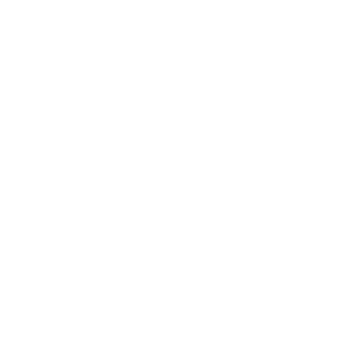 FreeGaza007's emblem