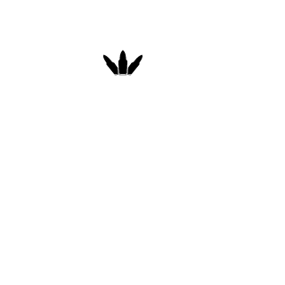 artem2331535345's emblem