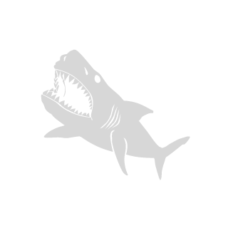 CzarSC's emblem