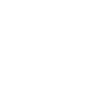 DevToxic's emblem