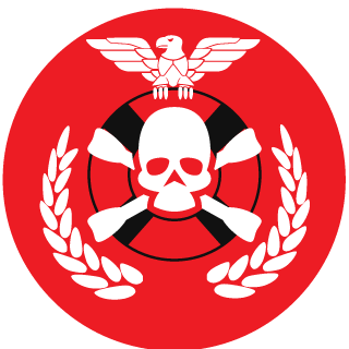 brainyboy98's emblem