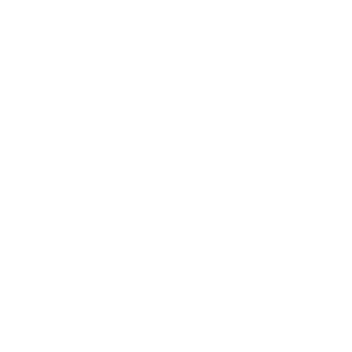 motorfinancewiz's emblem