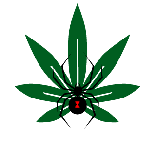 Chayan's emblem