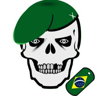 ____DiiCasTr0-BR's emblem