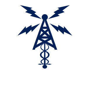 destroy-electro's emblem