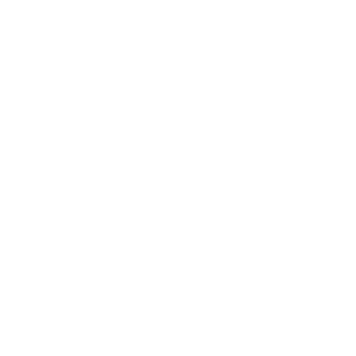 felipebm11's emblem