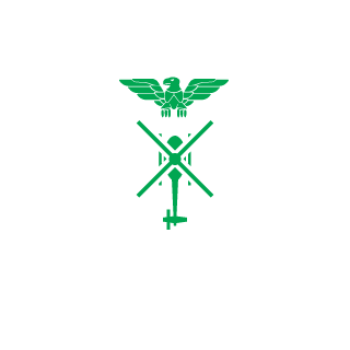 LilNubThatCould's emblem