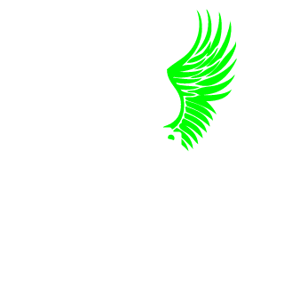 prmns1972's emblem