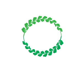 DrakeFray's emblem
