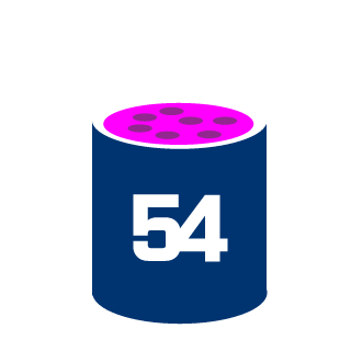 skillzsyMCslush's emblem