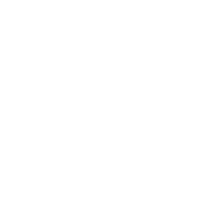 Revenger1601's emblem