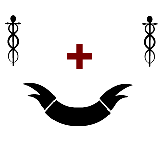 Raine_Sage's emblem