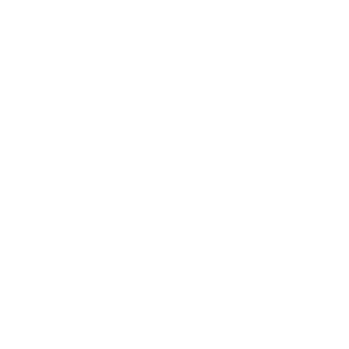 Skiiltz's emblem