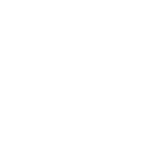 L3ANDROSOL1D1910's emblem