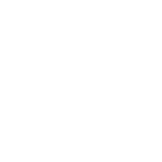 ZombiTolik's emblem